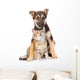 Crossbreed and Small Tabby Wall Decal