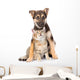Crossbreed and Small Tabby Wall Decal