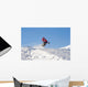 Snowmobile Wall Decal
