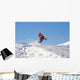 Snowmobile Wall Decal
