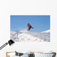 Snowmobile Wall Decal