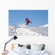 Snowmobile Wall Decal