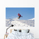 Snowmobile Wall Decal
