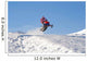 Snowmobile Wall Decal