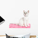 Beautiful British Kitten Sitting Wall Decal