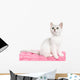 Beautiful British Kitten Sitting Wall Decal