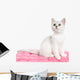Beautiful British Kitten Sitting Wall Decal