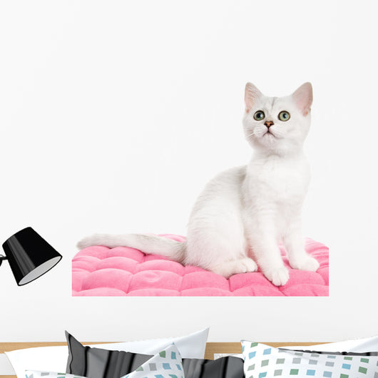 Beautiful British Kitten Sitting Wall Decal
