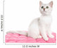 Beautiful British Kitten Sitting Wall Decal