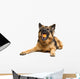 German Shepherd Chewing Orange Wall Decal