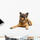 German Shepherd Chewing Orange Wall Decal