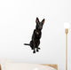 Black Short Haired Shepherd Wall Decal