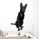 Black Short Haired Shepherd Wall Decal
