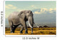 Elephant Wall Decal