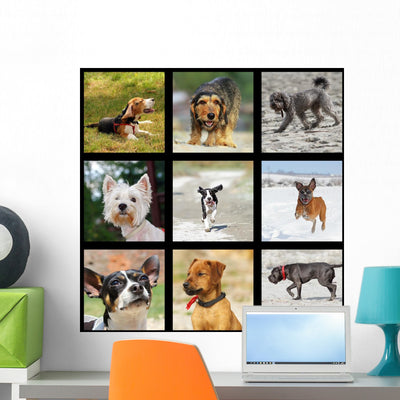 Images with Domestic Dogs Wall Decal shown on a wall
