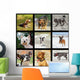 Images with Domestic Dogs Wall Decal