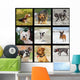 Images with Domestic Dogs Wall Decal
