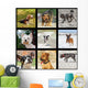 Images with Domestic Dogs Wall Decal