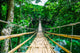Bamboo Pedestrian Suspension Bridge Wall Decal