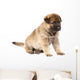 Sitting Sheepdog Puppy Wall Decal