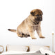 Sitting Sheepdog Puppy Wall Decal