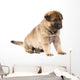 Sitting Sheepdog Puppy Wall Decal