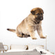Sitting Sheepdog Puppy Wall Decal