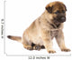 Sitting Sheepdog Puppy Wall Decal