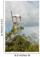 Endangered Florida Wood Stork Wall Decal