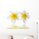 Fleurs Frangipaniers Wall Decal