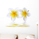 Fleurs Frangipaniers Wall Decal