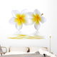 Fleurs Frangipaniers Wall Decal