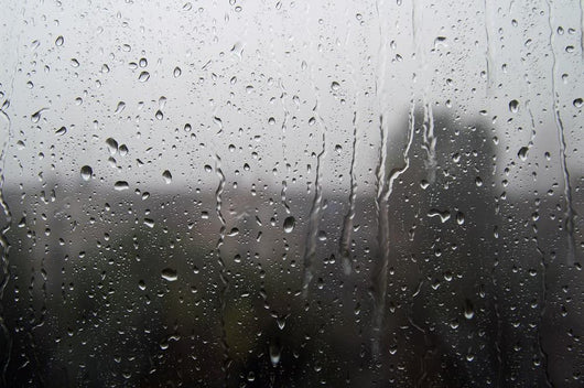 Rain Wall Decal