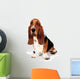 Basset Hound Wall Decal