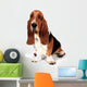 Basset Hound Wall Decal