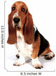 Basset Hound Wall Decal