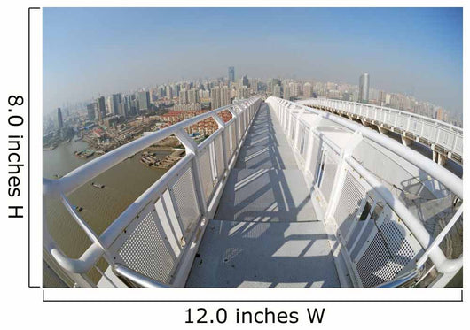 Panorama Shanghai Bridge Wall Decal