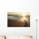 Prints from Horse Beach Wall Decal
