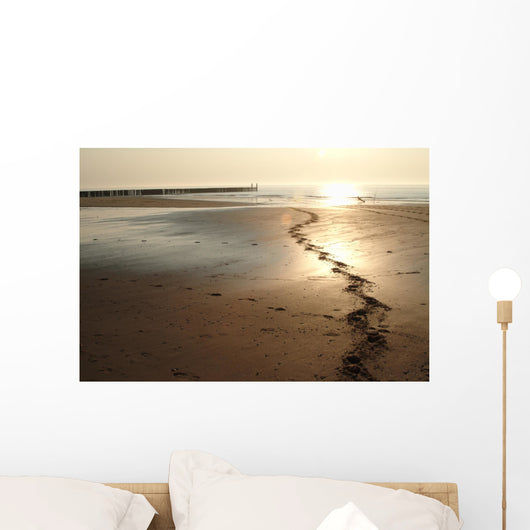 Prints from Horse Beach Wall Decal