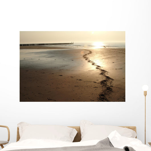 Prints from Horse Beach Wall Decal