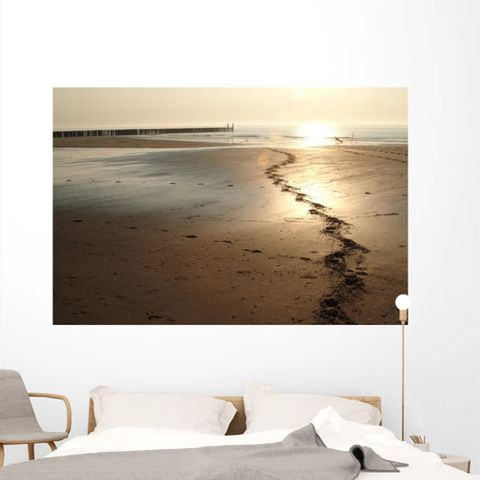 Prints from Horse Beach Wall Decal