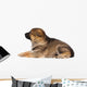 Sheepdog Puppy Wall Decal