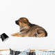 Sheepdog Puppy Wall Decal