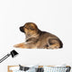 Sheepdog Puppy Wall Decal