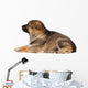 Sheepdog Puppy Wall Decal