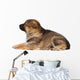 Sheepdog Puppy Wall Decal