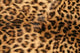 Skin Leopard Wall Decal