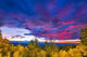 Sunset Santa Fe Ski Wall Decal
