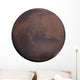 Planet Mars Wall Decal