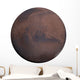 Planet Mars Wall Decal